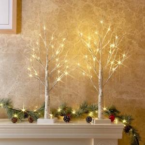 2FT Birch Tree with LED Lights, Christmas Decor