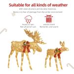 Gold Moose Family Lighted Christmas Decoration Set
