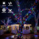 328FT TW SHINE 1000 LED Christmas Lights Decorations