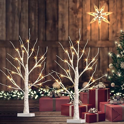 2FT Birch Tree with LED Lights, Christmas Decor