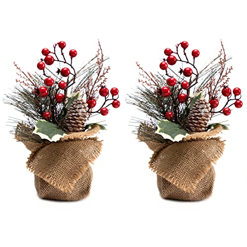 Mini Christmas Tree Set: Festive Office Decor & Gift