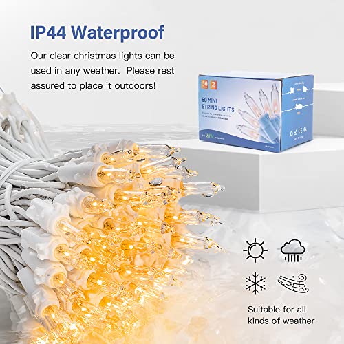 Clear Christmas Lights for Holiday Decorations - 2PACK