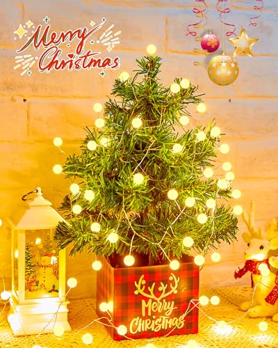 Christmas Globe String Lights Battery Operated, Warm White