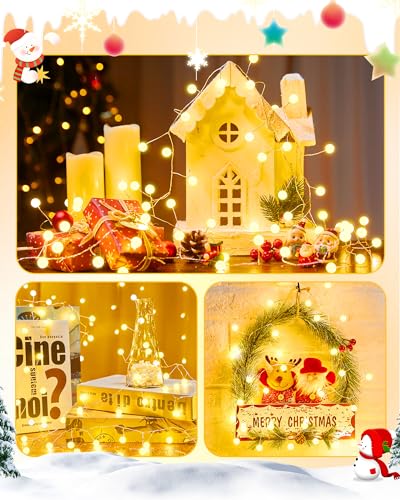 Christmas Globe String Lights Battery Operated, Warm White