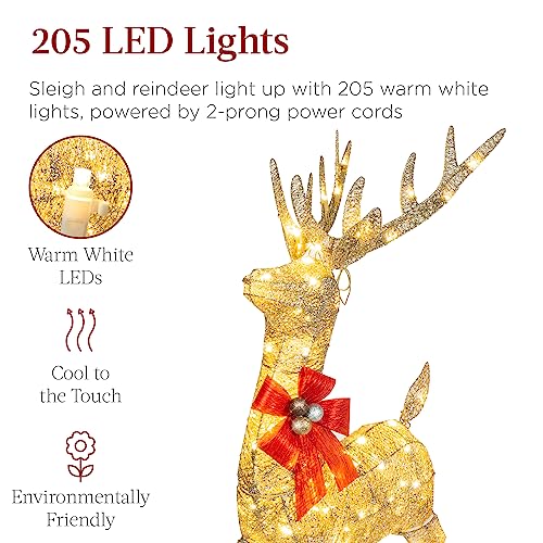 Gold LED Reindeer & Sleigh Outdoor Christmas Decor