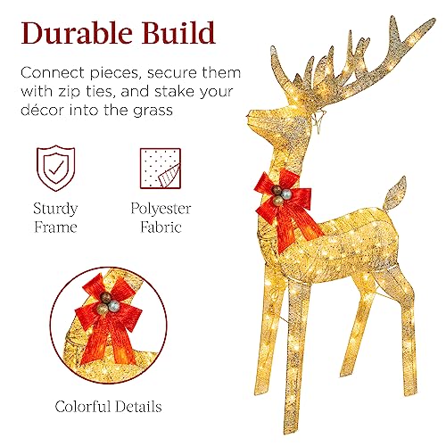 Gold LED Reindeer & Sleigh Outdoor Christmas Decor