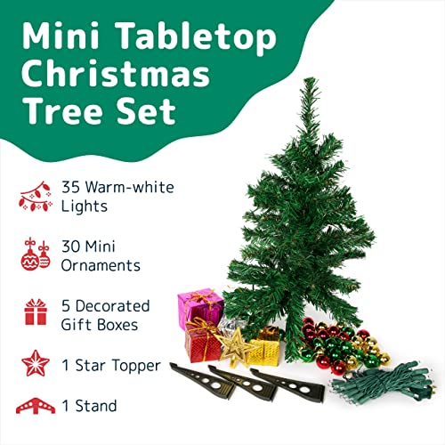 Mini Christmas Tree Set: Warm-White Lights, Star Topper
