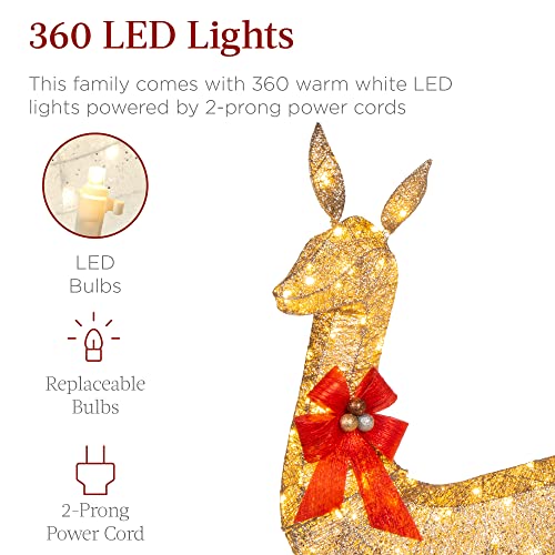 Lighted Christmas Deer Family Set - 5Ft, Gold