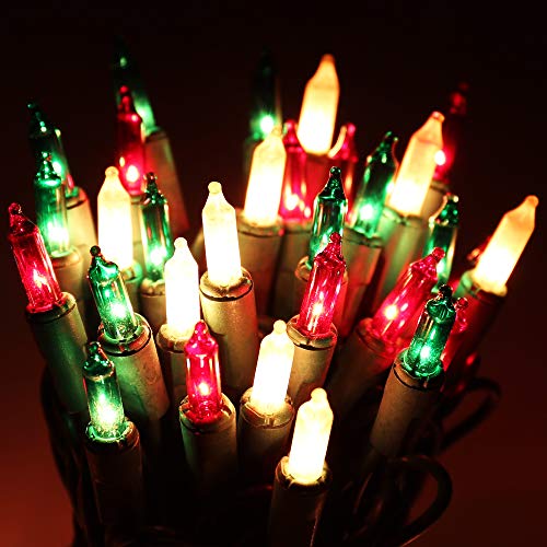 Multi Color Christmas String Lights - 24ft, Fairy Garden