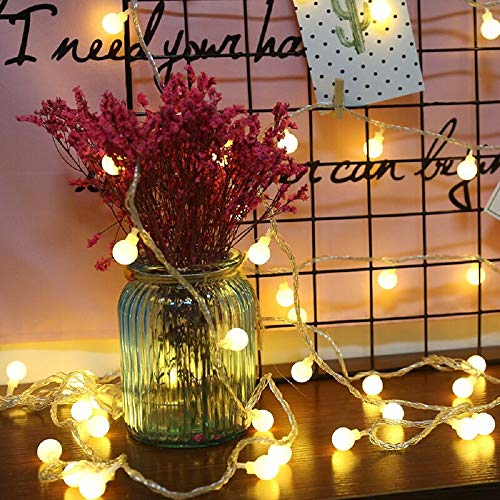 Christmas Fairy Lights - 20 LED Warm White Bulbs