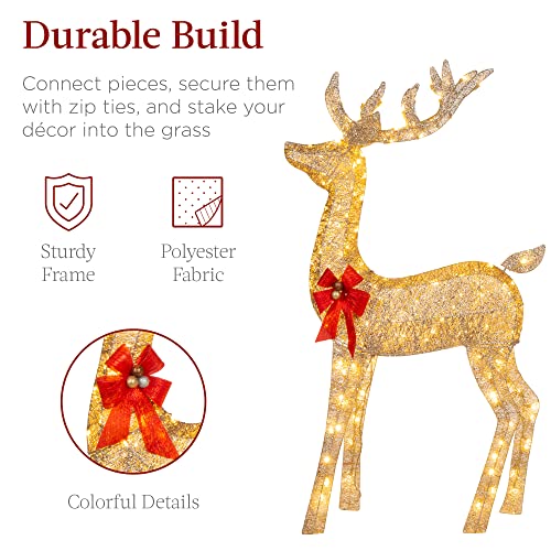 Lighted Christmas Deer Family Set - 5Ft, Gold