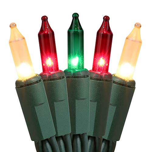Multi Color Christmas String Lights - 24ft, Fairy Garden