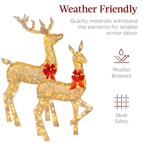 Lighted Christmas Deer Family Set - 5Ft, Gold