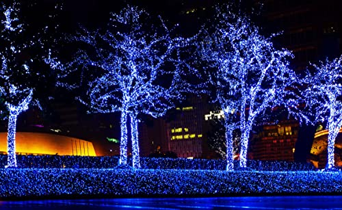 Blue Christmas Lights: 50 on White Wire