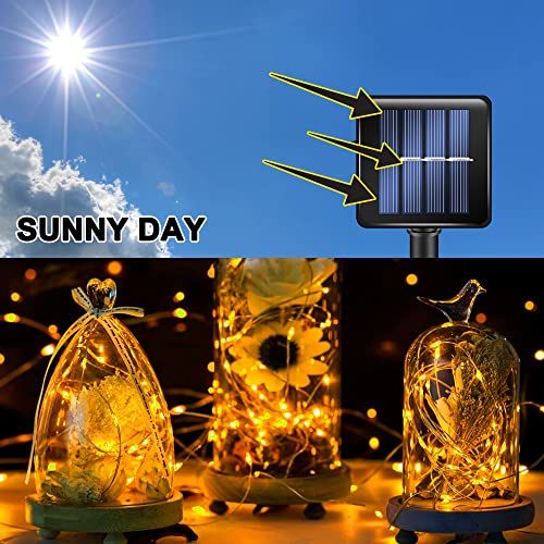 Christmas Fairy Lights - 480 LED, 160 FT