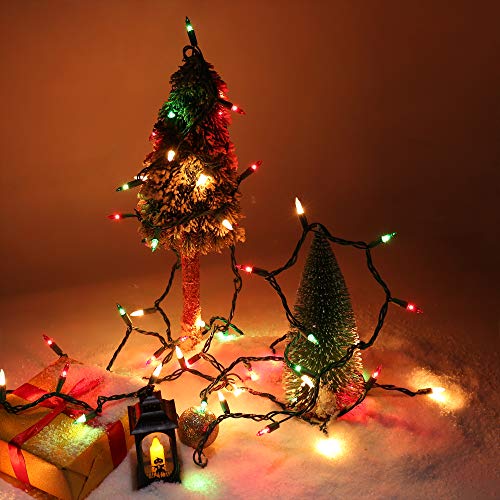 Multi Color Christmas String Lights - 24ft, Fairy Garden