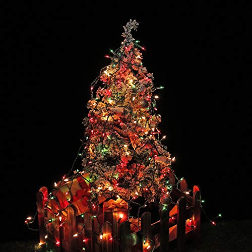 Multi Color Christmas String Lights - 24ft, Fairy Garden