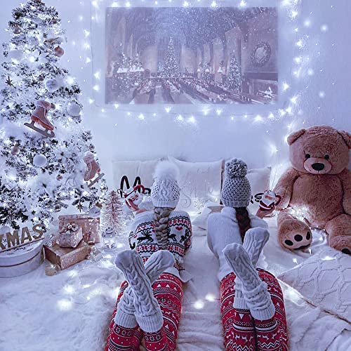 100 LED White Christmas Lights, 39ft String Lights