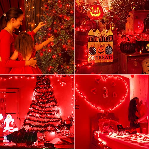 Red Christmas Mini String Lights - Waterproof, Indoor/Outdoor