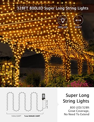 Christmas Lights Outdoor - 800 LED, Remote Control