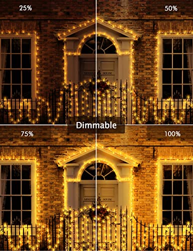 Christmas Lights Outdoor - 800 LED, Remote Control