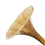 Vintage Brown Wood Gramophone with Record Player