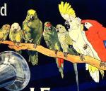 Vintage Paris Phonograph Music Poster Print