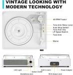 Colorful Self-Adhesive Athletic Wrap Tape - 18 Colors