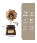 Vintage Mini Wooden Bluetooth Record Player with FM Radio