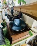 Vintage Wind-Up Gramophone with Gold Horn Soundbox