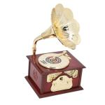 Brown Vintage Gramophone Record Player with Flower Horn