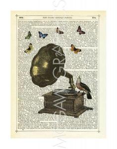 Bird and Butterflies Gramophone Art Print 14" x 11