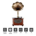 LuguLake Retro Gramophone Turntable with Copper Horn