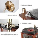 LuguLake Retro Gramophone Turntable with Copper Horn