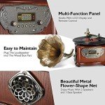 LuguLake Retro Gramophone Turntable with Copper Horn