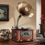 LuguLake Retro Gramophone Turntable with Copper Horn