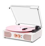 Danfi Audio Vintage 1980s Bluetooth Record Player