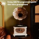 Vintage Bluetooth Gramophone Record Player with Copper Horn