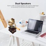 Retro Bluetooth Gramophone Turntable with Remote Control