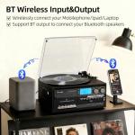 10-in-1 Vintage Vinyl Record Player with Speakers