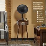 Italian Style Bluetooth Gramophone Record Player