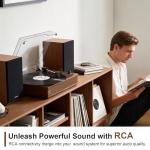 Vintage Bluetooth Vinyl Player with Stereo Speakers