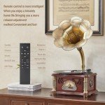 Bluetooth Retro Gramophone Player with Hi-Fi Sound