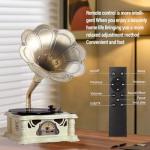 Vintage Horn Gramophone Record Player with USB
