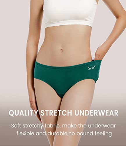 Cholewy Womens Underwear Multipack - Soft and Stretchy Ladies Knickers Comfortable Cotton Pants for Women, Ideal for Daily Wear (Pack of 6)