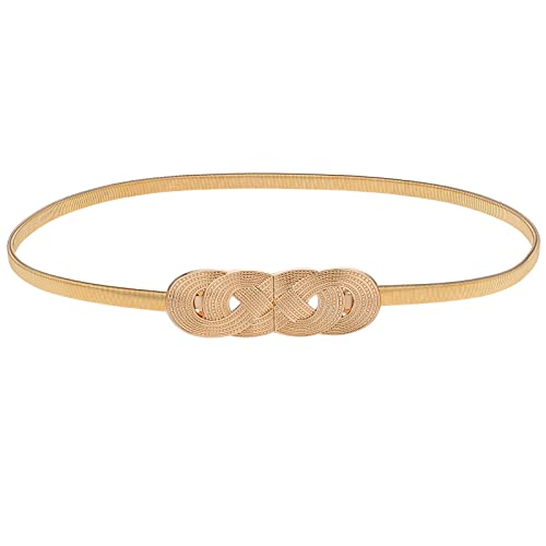 Giantree Retro Metal Corset Belt for Dress