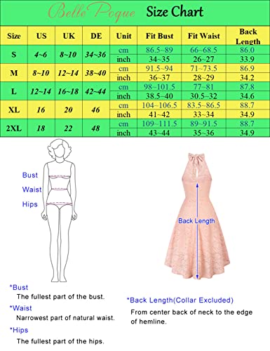 Belle Poque 50s Retro Lace A-line Dress