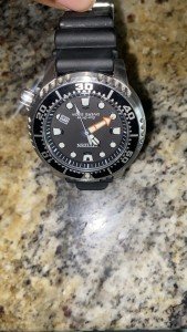 Citizen Promaster Eco-Drive Men's Diver Watch