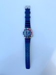 Citizen Promaster Pepsi Dive Eco-Drive Watch