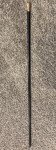 19th Century Gold Filled Theatre Walking Stick Cane